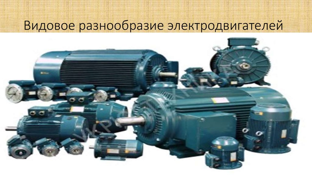 Видовое разнообразие электродвигателей