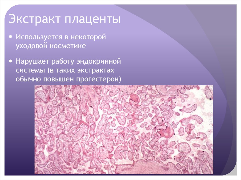 Экстракт плаценты