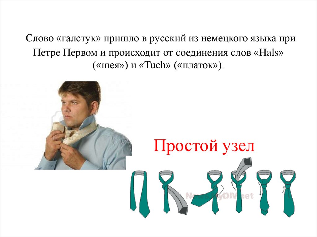 Слово «галстук» пришло в русский из немецкого языка при Петре Первом и происходит от соединения слов «Hals» («шея») и «Tuch» («платок»). Простой 