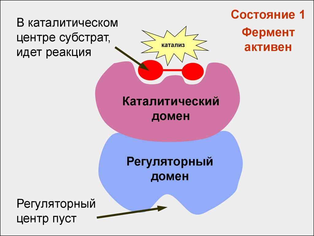 Активная группа фермента