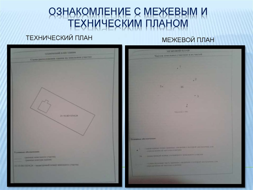 Межевой и технический план