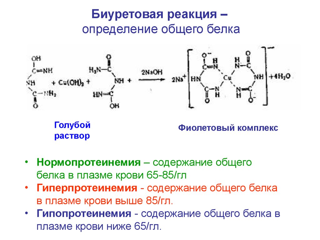 Комплекс белка. Биуретовая реакция на пептидную связь. Биуретовая реакция с раствором белка. Биуретовая реакция общая схема. Биуретовая реакция химизм реакции.