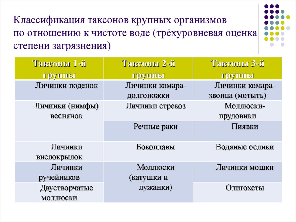 Степени загрязнения окружающей среды