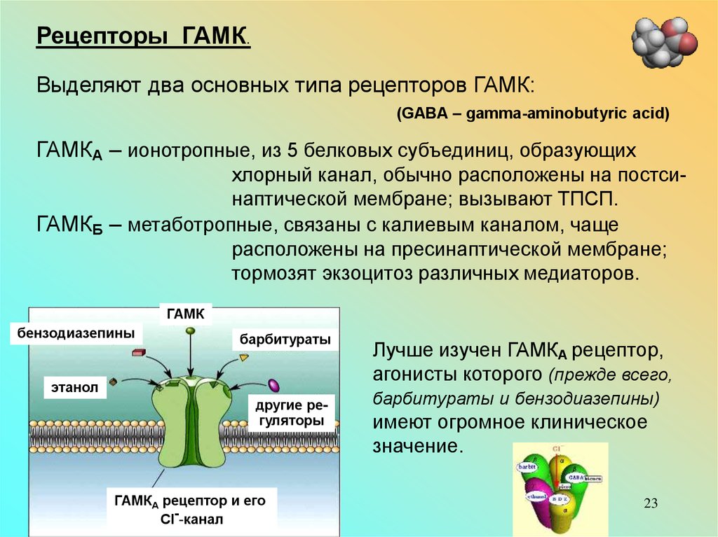 Гамк это