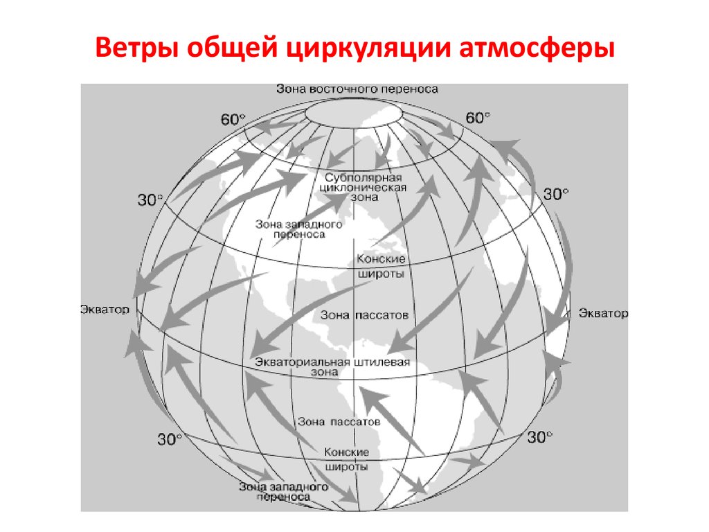 Циркуляция атмосферы 7 класс. Схема общей циркуляции атмосферы. Ветры общей чиркуляция атмосферы. Схему циркуляции основных ветров. Конские широты.