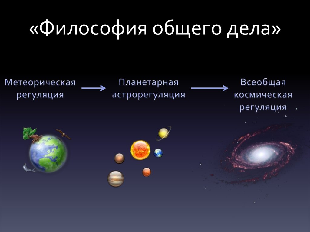 Философия общего дела н ф федорова презентация