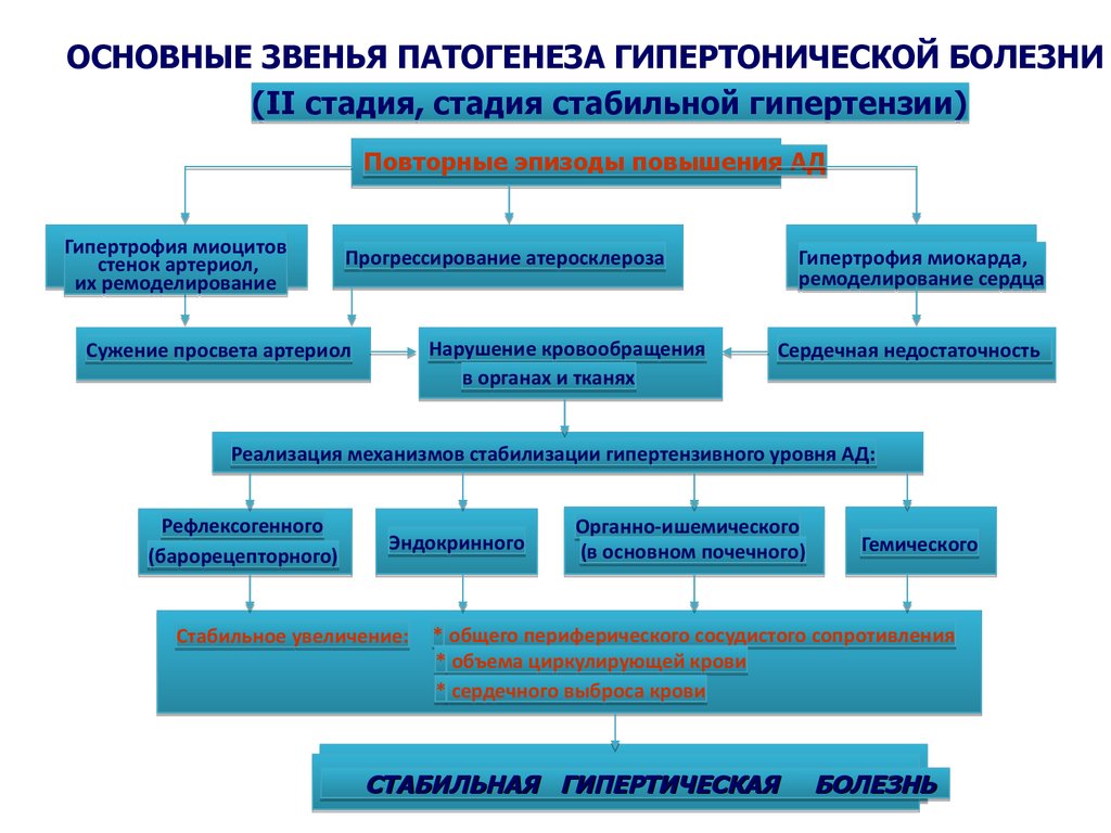 Патогенез болезни. Основные патогенетические звенья гипертонической болезни. Звенья патогенеза развития артериальной гипертензии. Основные звенья патогенеза гипертонической болезни. Укажите основные патогенетические звенья гипертонической болезни:.