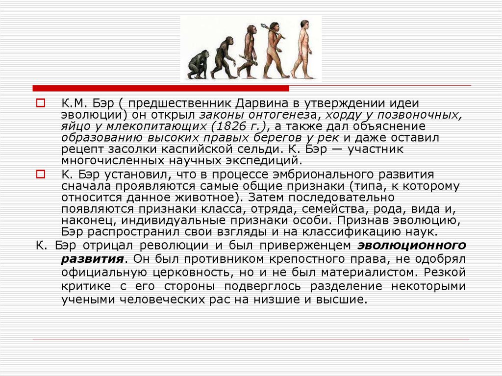 Утверждение идеи. Предшественники Дарвина. Эволюционные представления до Дарвина. Эволюционная идеи предшественика Дарвина. Эволюционная теория Бэр.