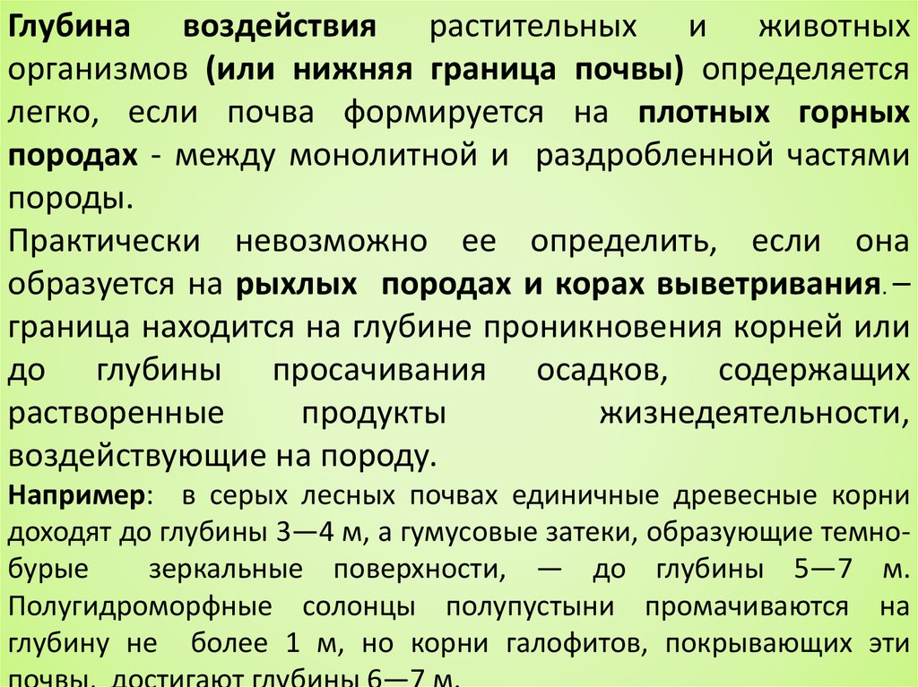 Происхождение характеристика. Нижняя граница почвы. Полугидроморфные почвы. Полугидроморфные почвы примеры. Солонцы полугидроморфные.