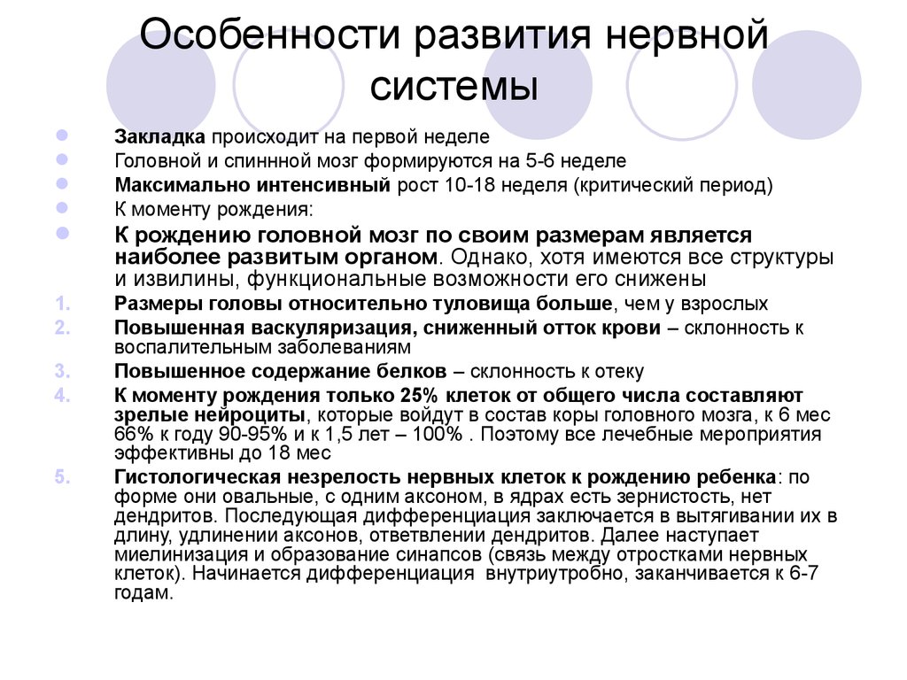 Особенности нервной системы. Критические периоды в развитии головного мозга. Критический период формирования центральной нервной системы. Особенности развития нервной системы у детей. Этапы развития нервной системы у детей.