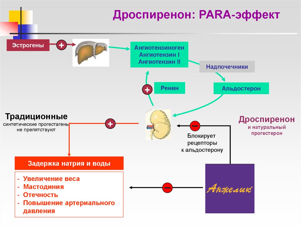 Крио на згт с блокадой схема