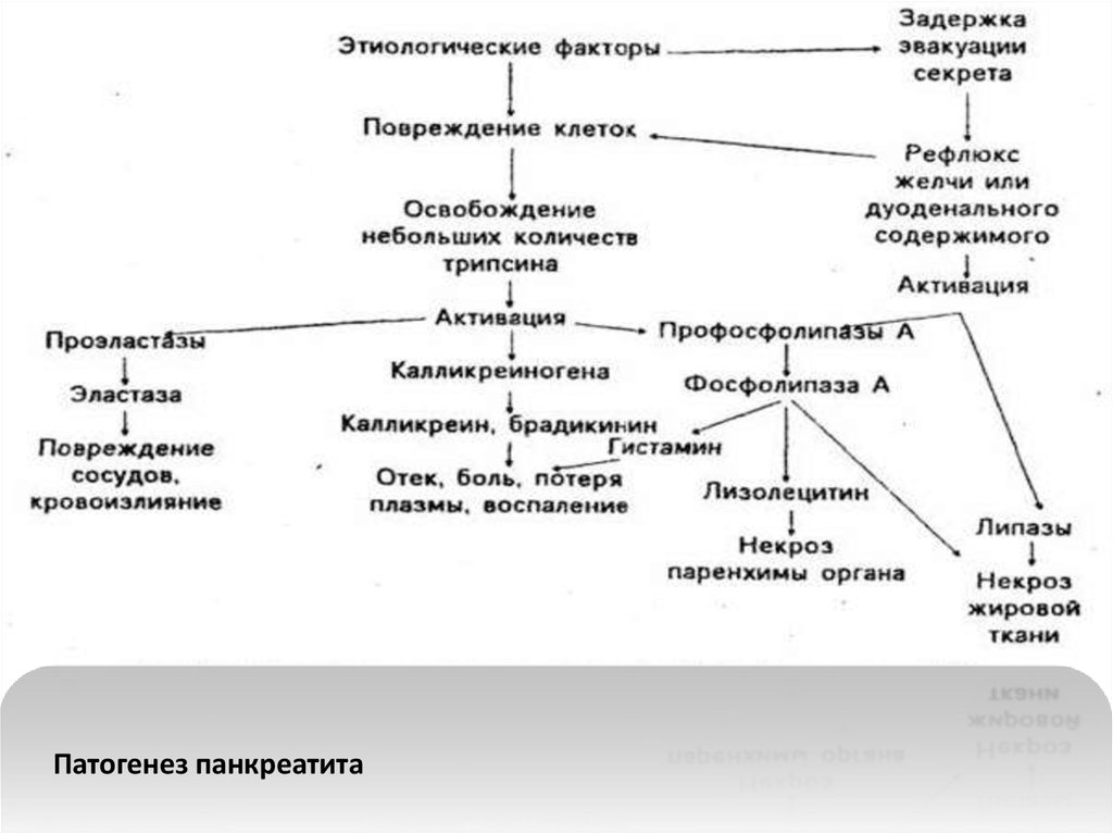 Патофизиология таблицы