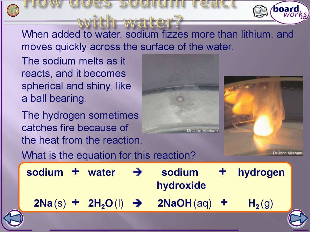 How does sodium react with water?