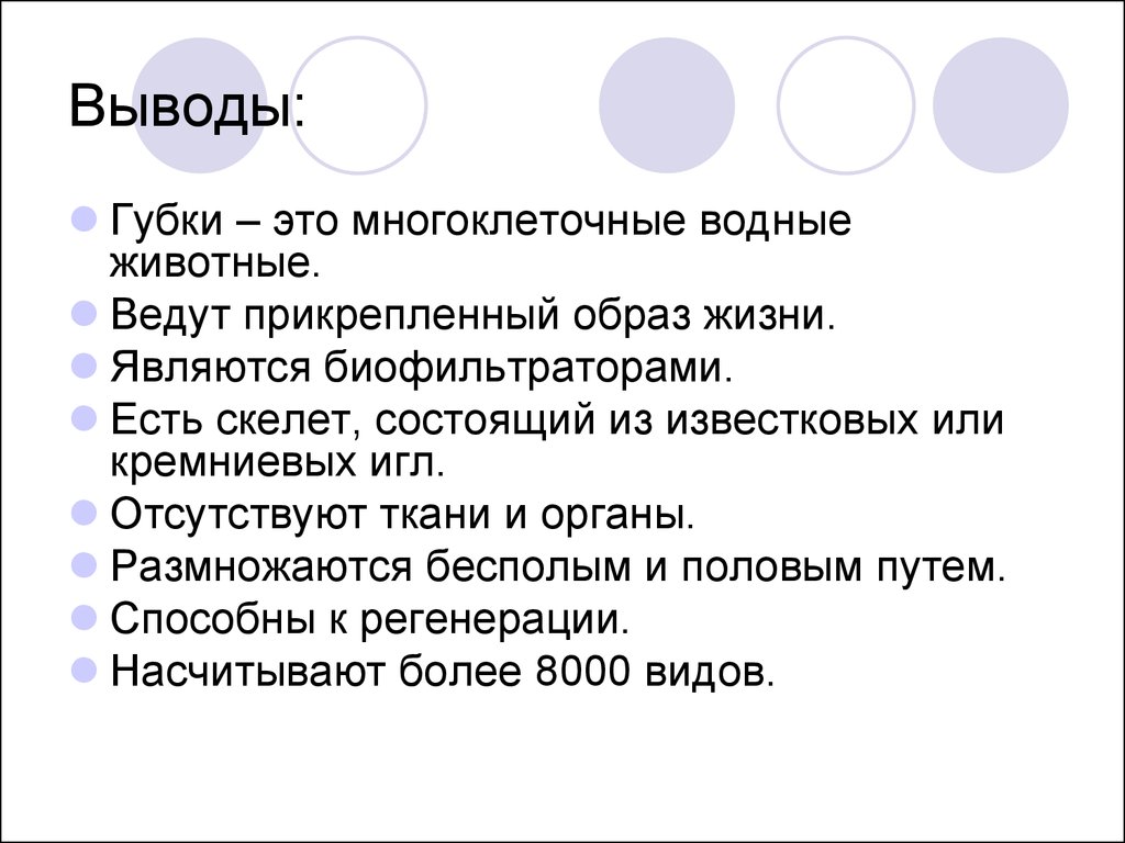 Прикрепленный образ жизни ведут. Вывод про губки в биологии. Тип губки вывод. Вывод по губкам. Вывод по губкам в биологии.