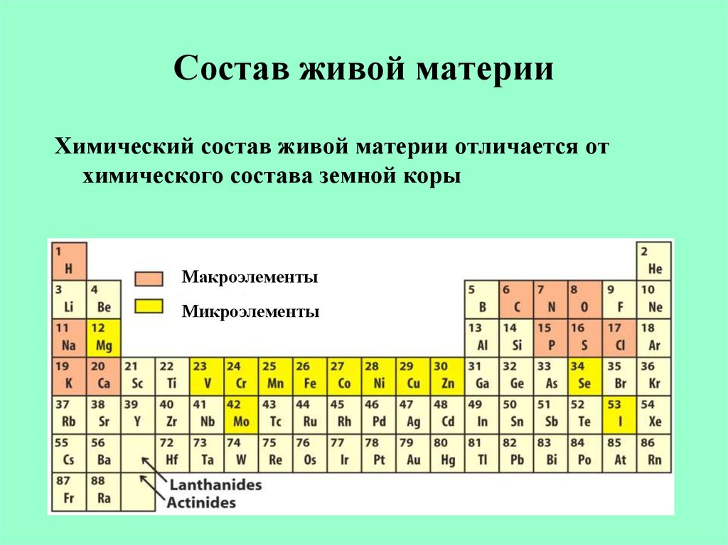 Живая материя. Химический состав живой материи. . Химические элементы в живой материи.. Элементный состав живой материи. Элементарный состав живой материи.