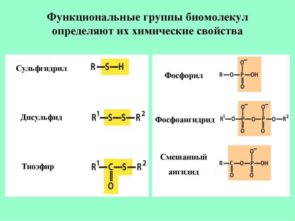 Функциональная группа. Функциональные группы биомолекул. Функциональные группы биохимия. Функциональные группы биомолекул и их химические свойства. Функциональная группа определяет.