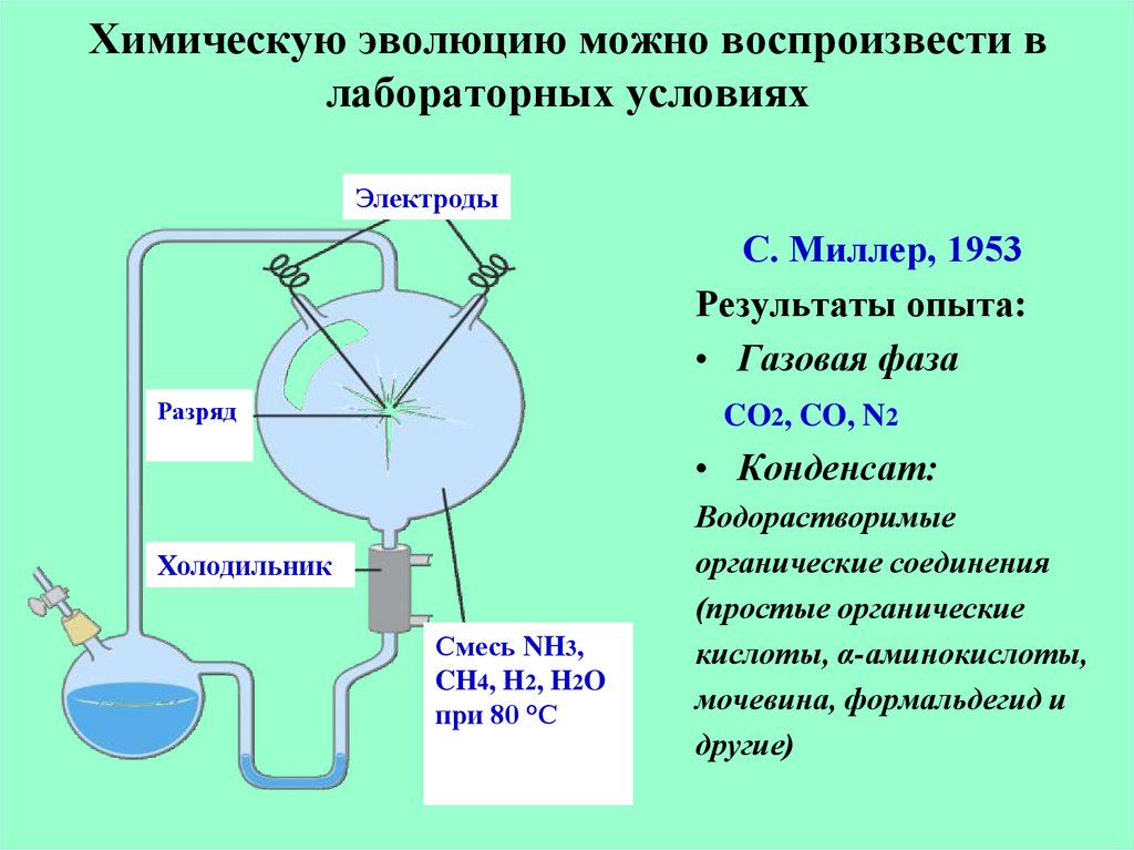 Развитие химических процессов