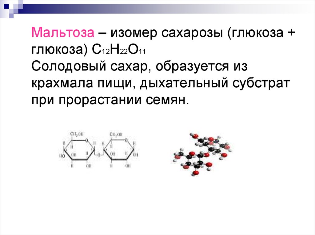 Изомерия глюкозы. Изомерия сахарозы формула. Мальтоза и сахароза изомеры. Мономер мальтозы. Мальтоза изомеры.