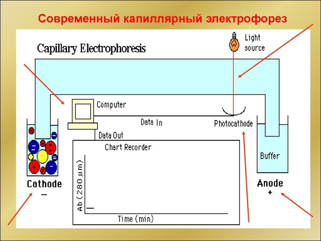 Метод капиллярного электрофореза основные принципы и схемы реализации