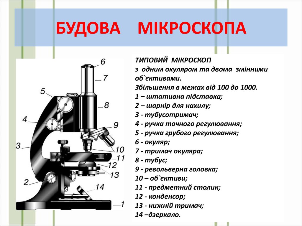 Микроскоп название частей биология 5 класс. Строение микроскопа 5 класс. Строение микроскопа 5 класс биология. Строение микроскопа 5. Схема светового микроскопа.