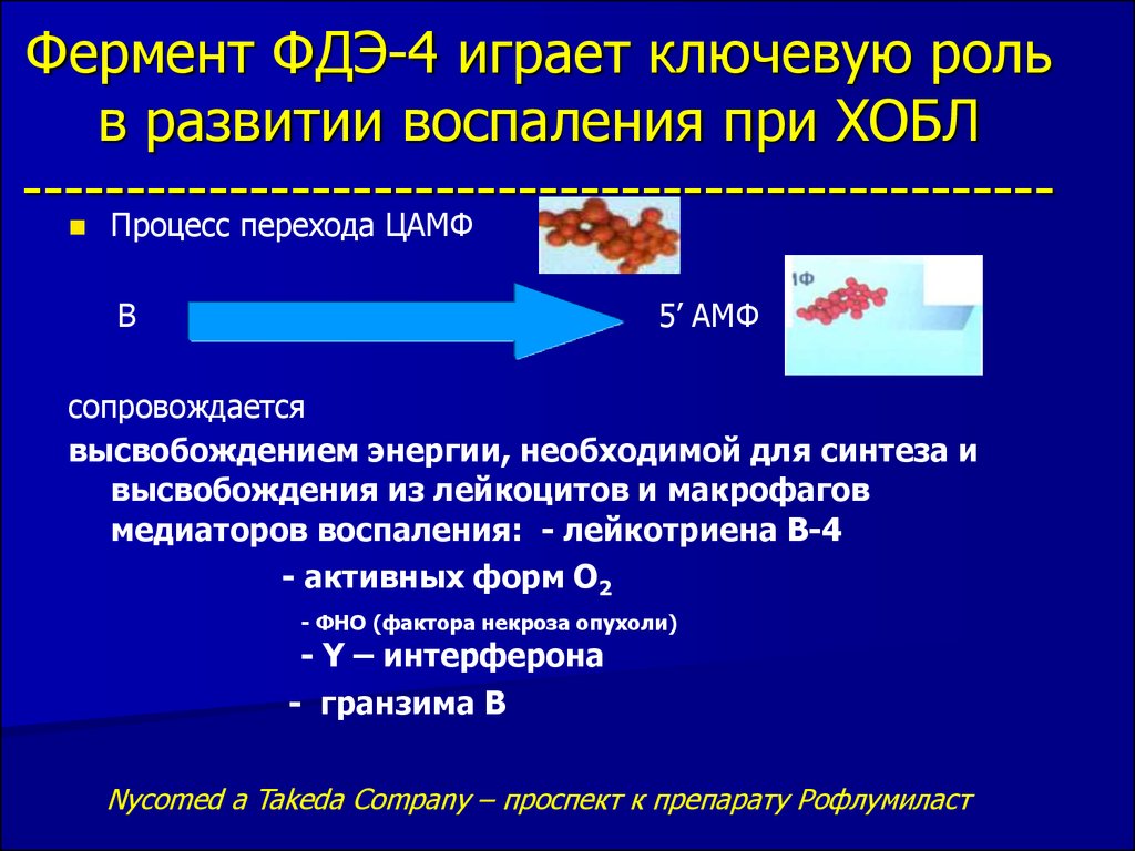 Фосфодиэстераза. Ингибиторы фосфодиэстеразы 4. Фосфодиэстераза это фермент который. Ингибиторы фосфодиэстеразы при ХОБЛ. Ингибиторы фосфодиэстеразы 4 при ХОБЛ.