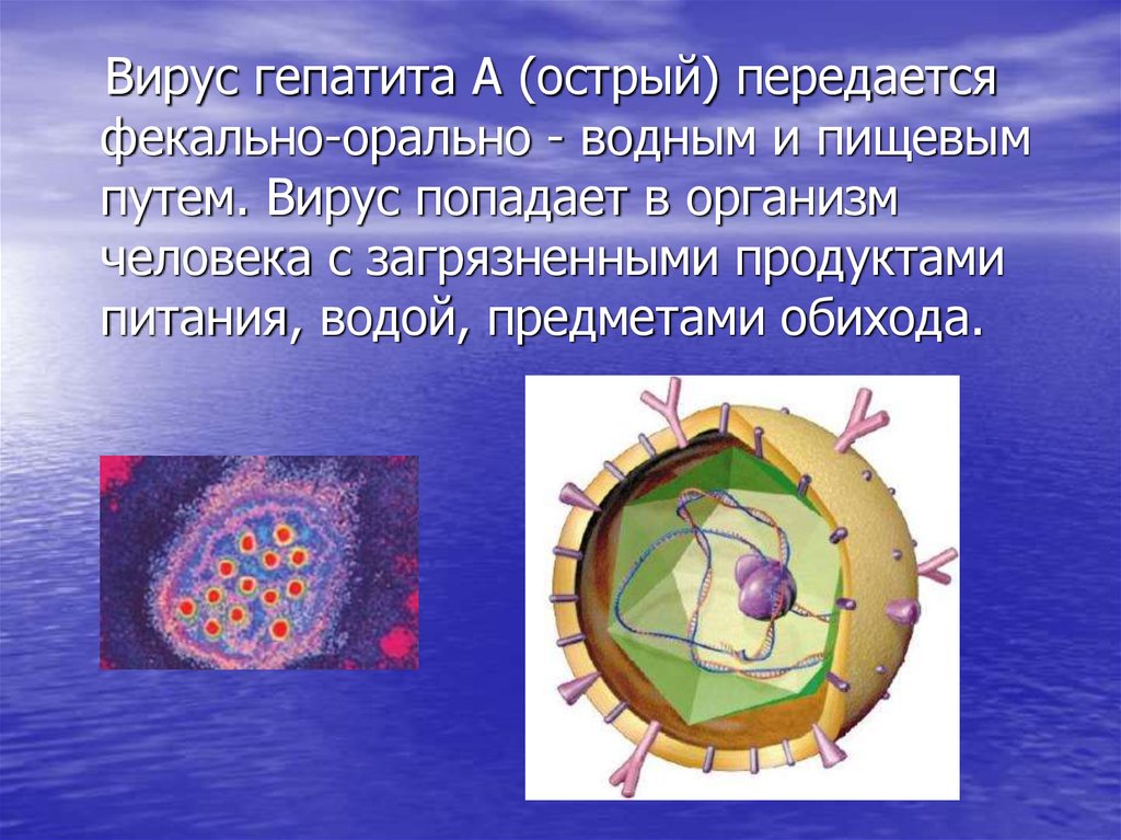 Вирусный гепатит заразен