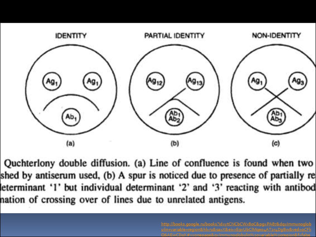 Non identifying. Оухтерлони ученый. Identifying non identifying. Vertical coincidence Test. Diagrams shows identical and non-indentical Twins.