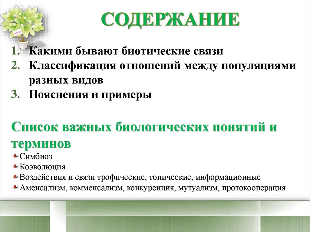 Содержание