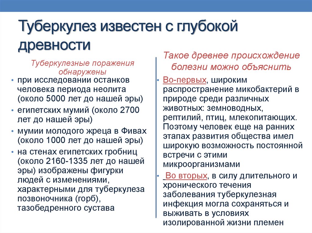 Факты о туберкулезе. Интересные факты о туберкулезе. Памятка эпидемиология туберкулеза.