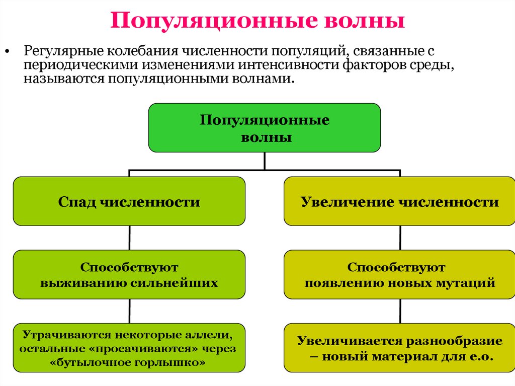 Популяционные волны схема