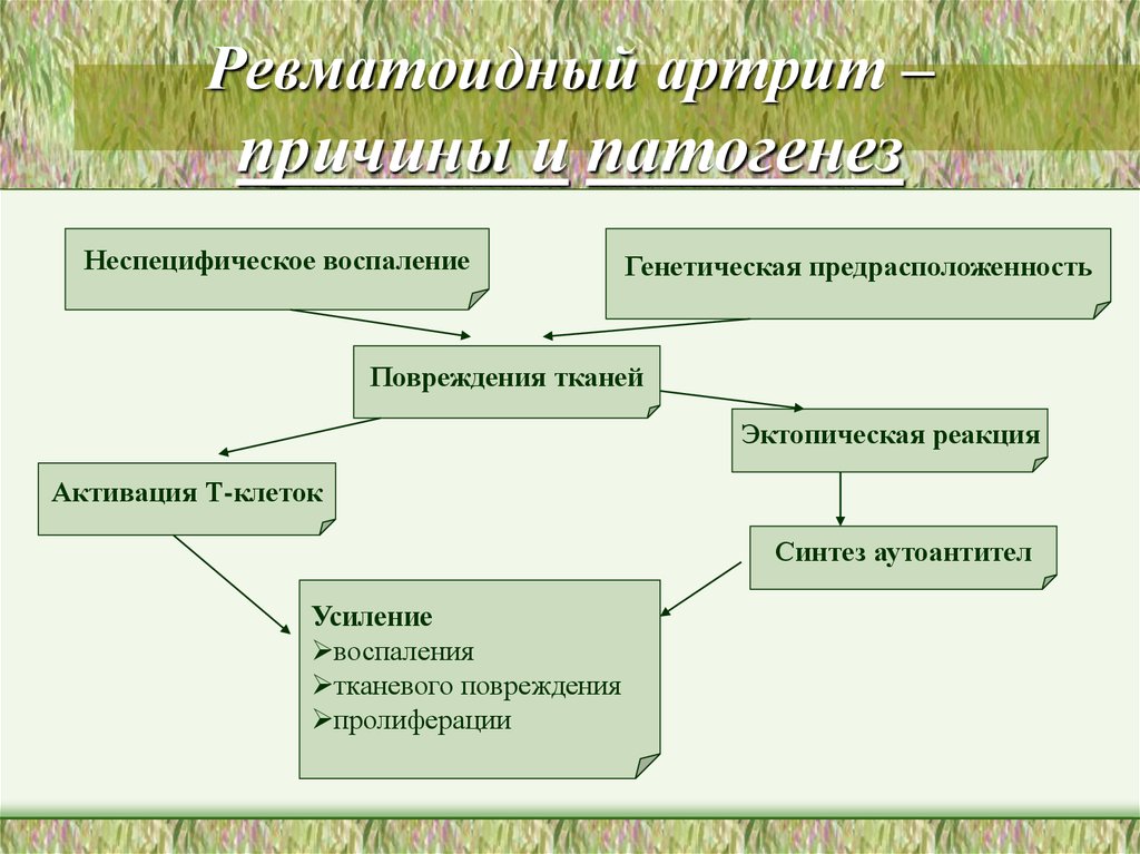 Ревматоидный артрит карта сестринского процесса