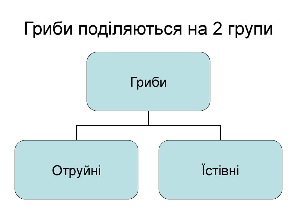 Проект гриби в біосфері та житті людини