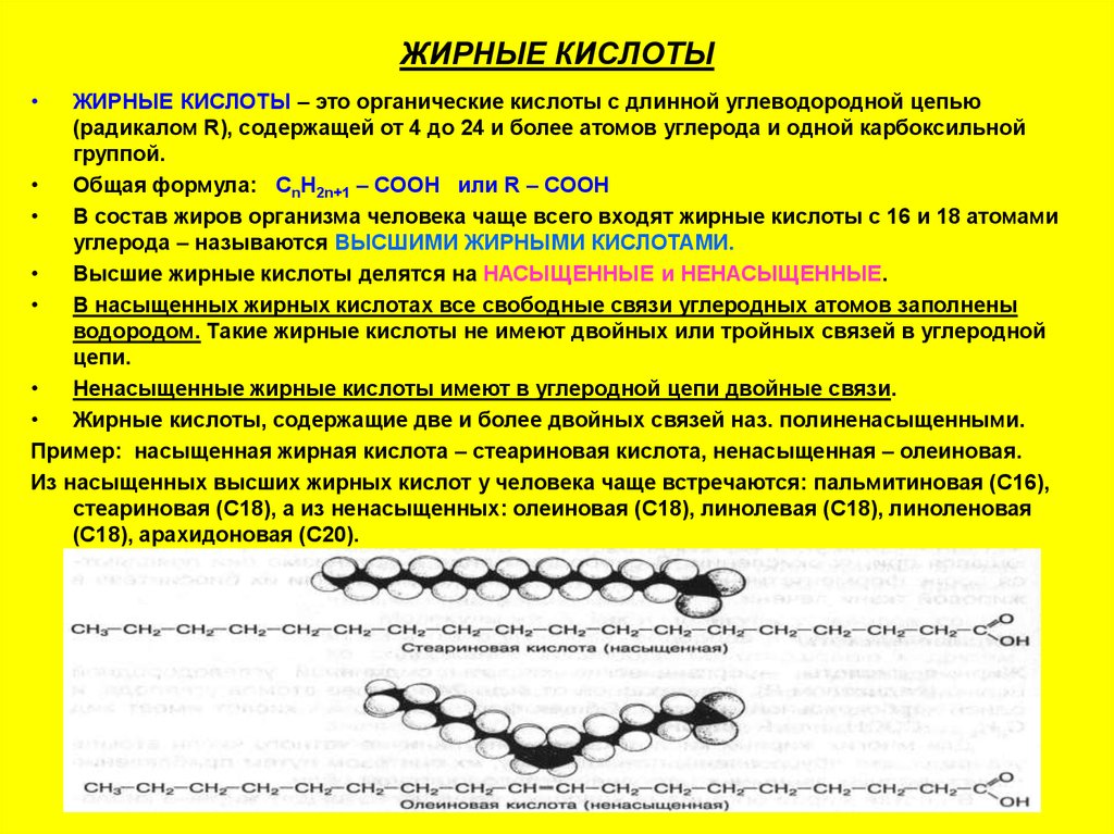 Жирные кислоты. С6 с12 жирные кислоты. Предельные с4 жирные кислоты. Свободные жирные кислоты формула общая. Строение насыщенных жирных кислот.