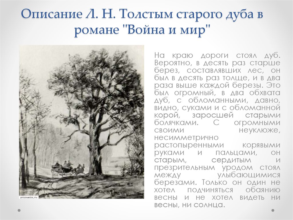 Картины природы и их роль в романе л н толстого война и мир реферат