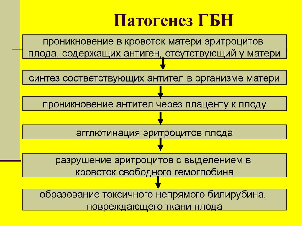 Схема гемолитической желтухи