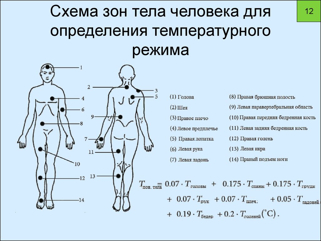 Почему разная температура под. Температурная схема тела. Температура тела человека. Места измерения температуры тела человека. Зоны тела человека.