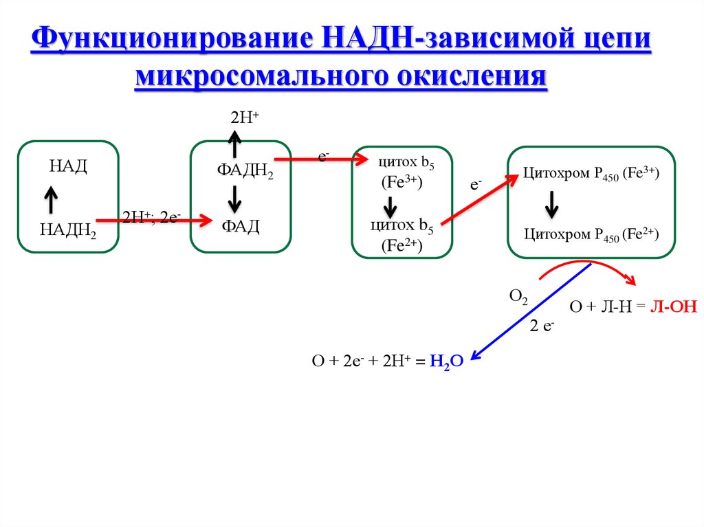 Схема аэробного стабилизатора