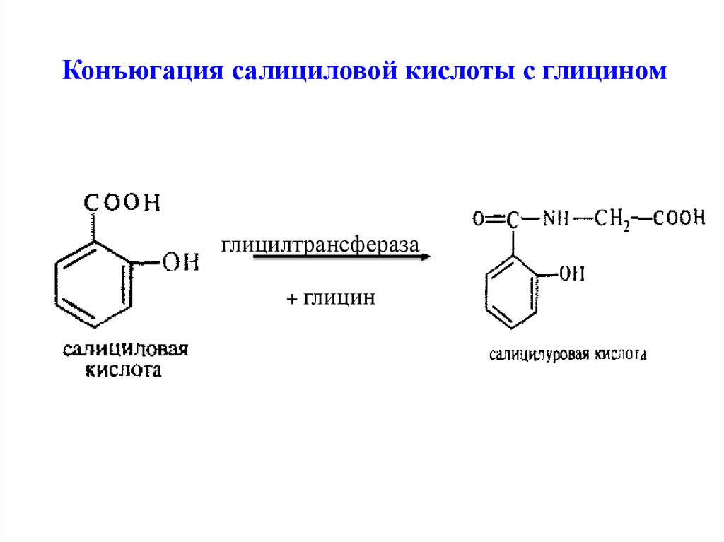 Группа салициловой кислоты. Реакция конъюгации с глюкуроновой кислотой. Реакции конъюгации с глутатионом глюкуроновой и серной кислотами. Конъюгация салициловой кислоты с глицином. Салициловая кислота люминесценция.