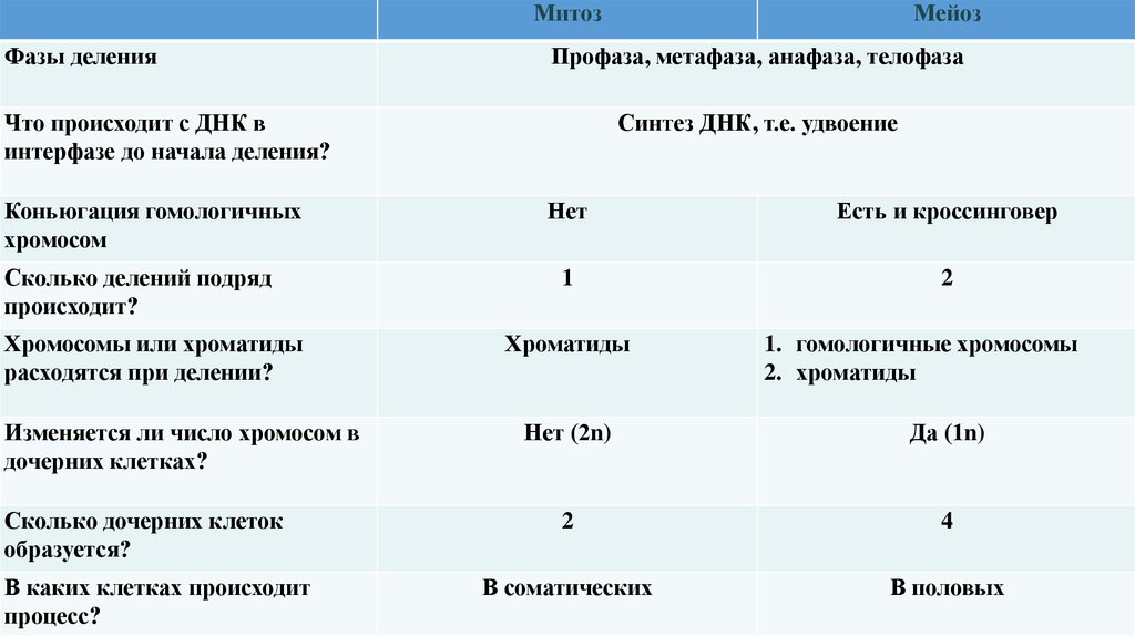 Наличие фазы. Фазы деления митоза и мейоза сходства. Наличие конъюгации в митозе и мейозе. Кроссинговер в митозе и мейозе сравнение. Кроссинговер митоза и мейоза.