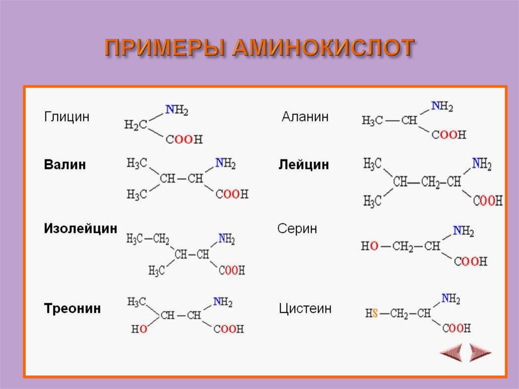 Аминокислоты химические соединения. Аминокислоты соединения примеры. Строение Амины кислоты. Бета аминокислоты формула. Химическое строение аминокислот формулы.