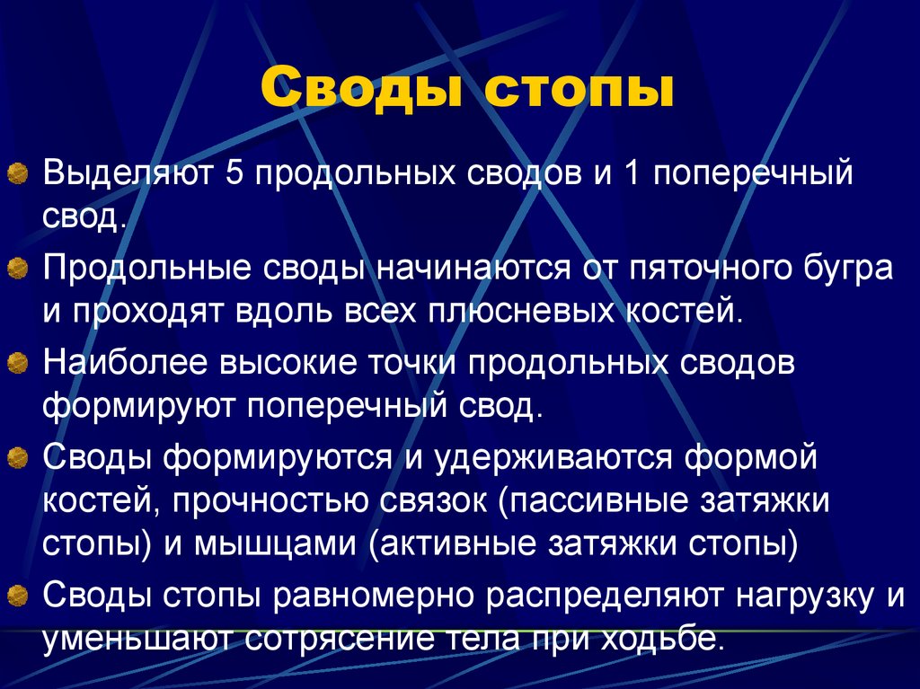 Свод стопы. Активные и пассивные затяжки стопы. Активные и пассивные затяжки сводов стопы. Значение сводов стопы. Значение сводчатой стопы.