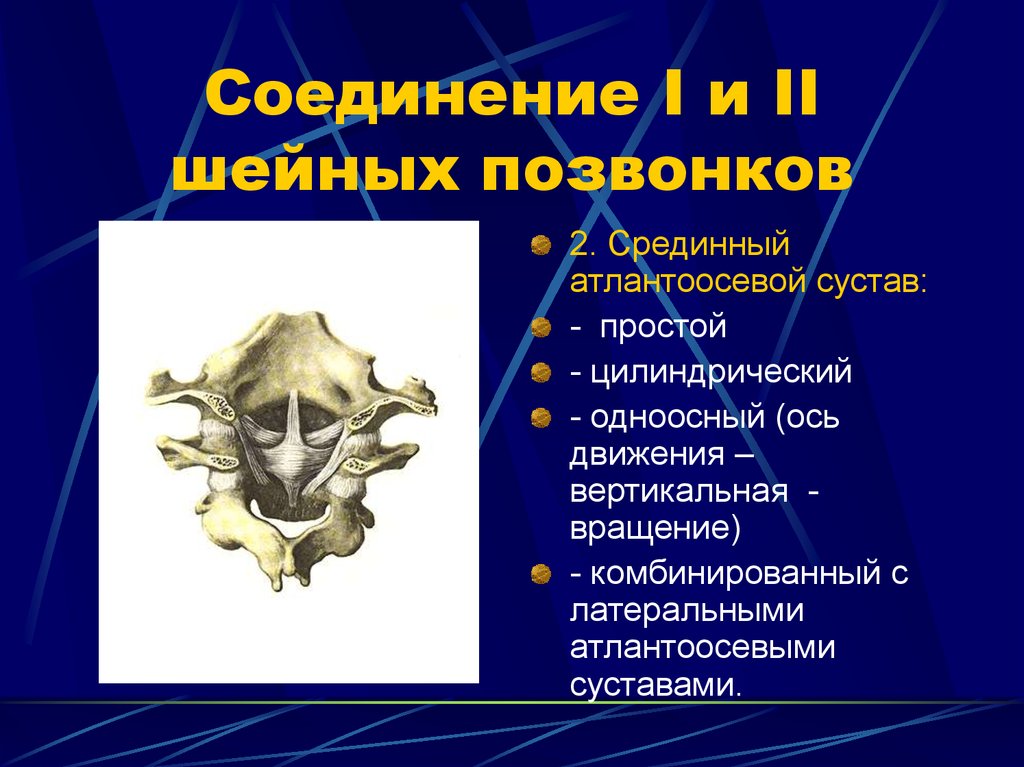 Соединение 1. Атлантоосевой сустав характеристика. Атлантозатылочный сустав строение. Срединный атланто затылочный сустав. Латеральный атлантоосевой сустав.