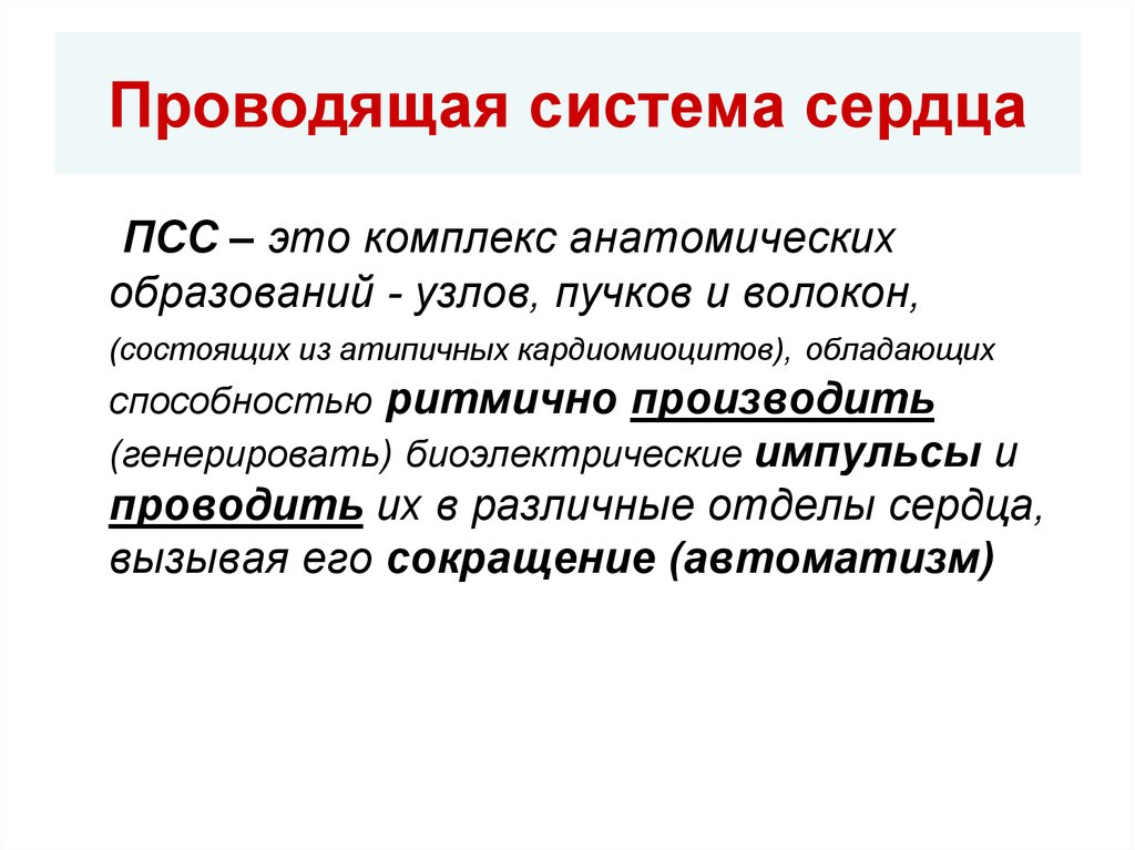 Псс в медицине. ПСС сердца. ПСС В медицине это. Кардиомиоциты ПСС это. ПСС физиология.