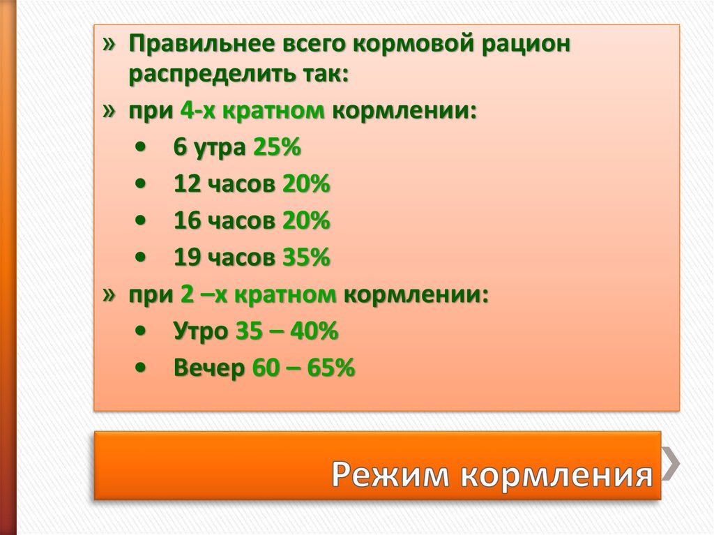 Режим кормления собак. Режим кормления щенка. Трехразовое кормление щенка по часам.