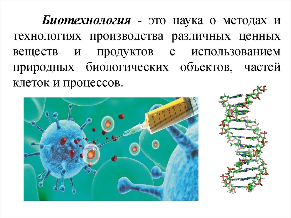 Презентация биотехнология 10 класс биология