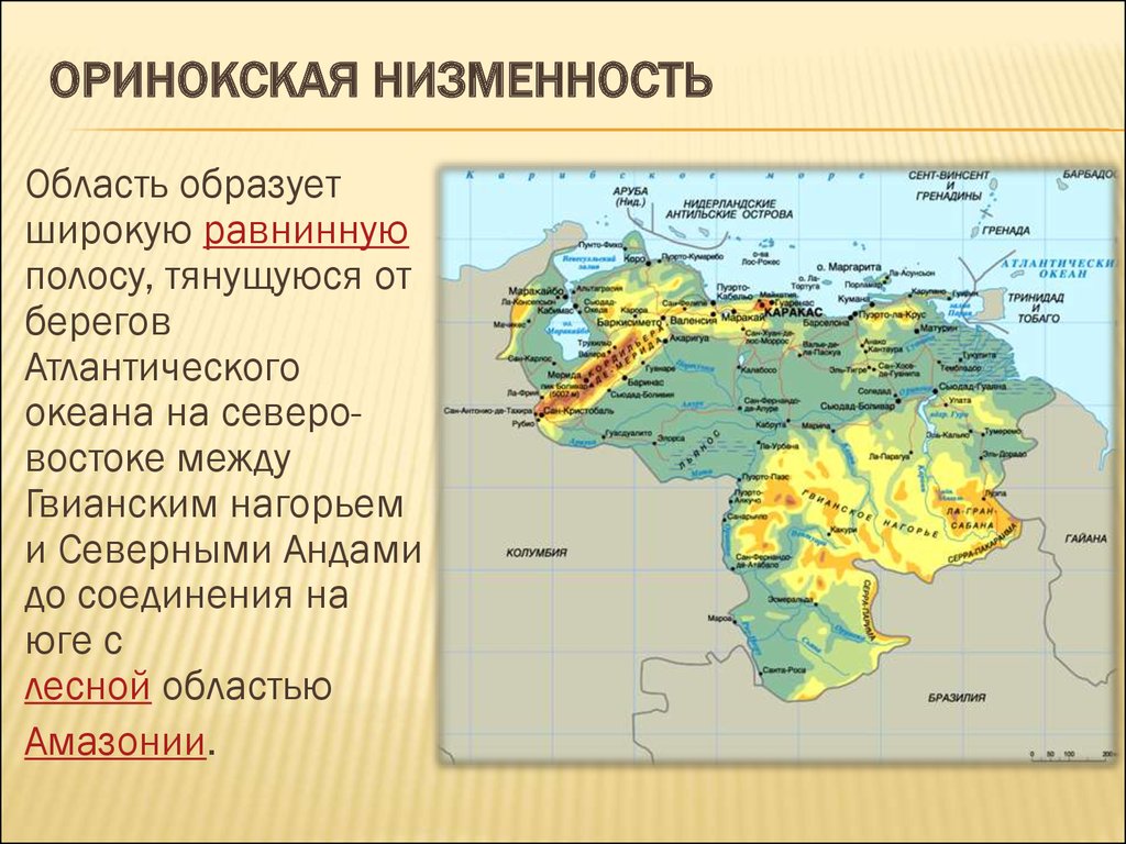 Рельеф ла платской низменности. Оринокская низменность. Оринокская низменность на карте. Оринокская низменность Возраст. Оринокская низменность на карте Южной.