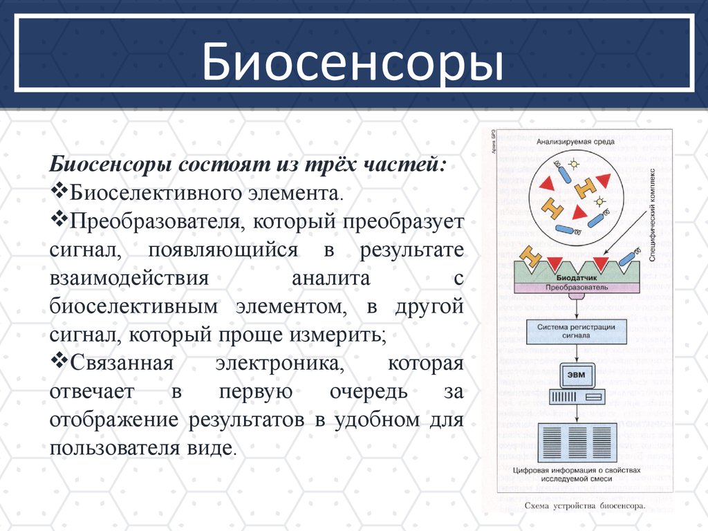 Биосенсоры и биочипы презентация