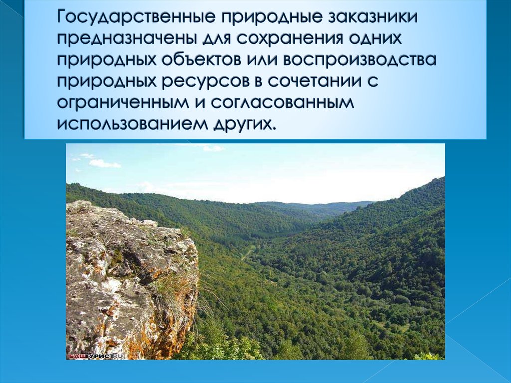 Части природных объектов