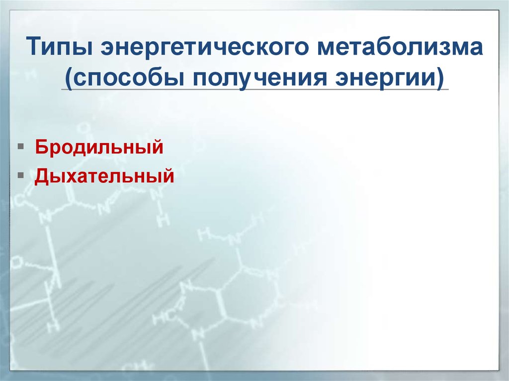 Типы энергетики. Типы энергетического метаболизма. Типы Энергетиков. Биотрансформация-метод.