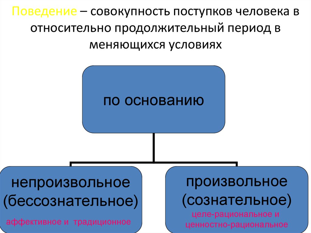 Поведение совокупность